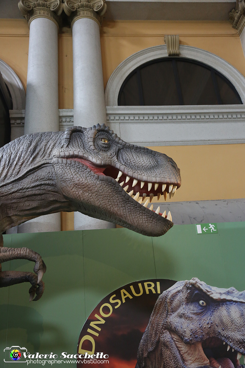 VBS_1006 - Dinosauri. Terra dei giganti.jpg